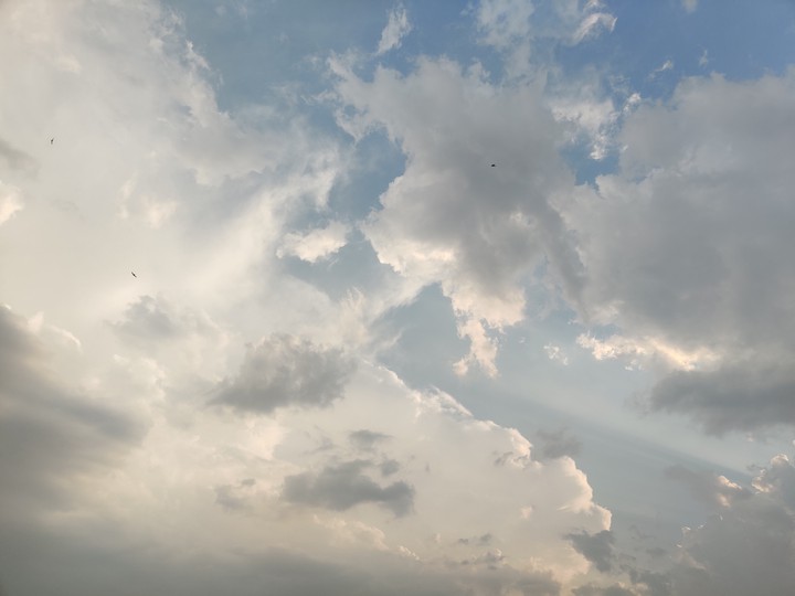 Sky with tiny birds