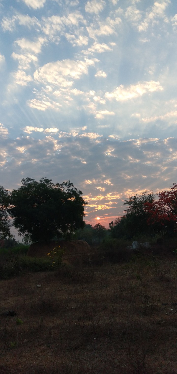 Morning Time Sun ?