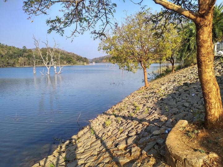 love nature