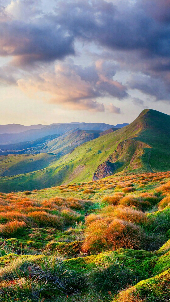 scenery