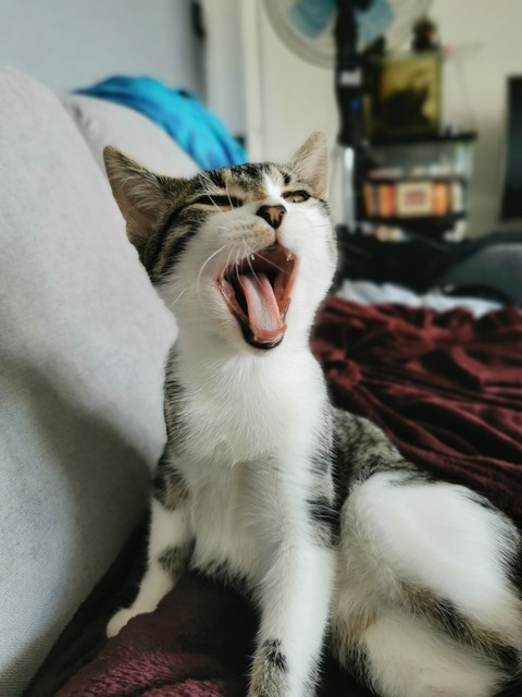 Nnooonnnn !!!