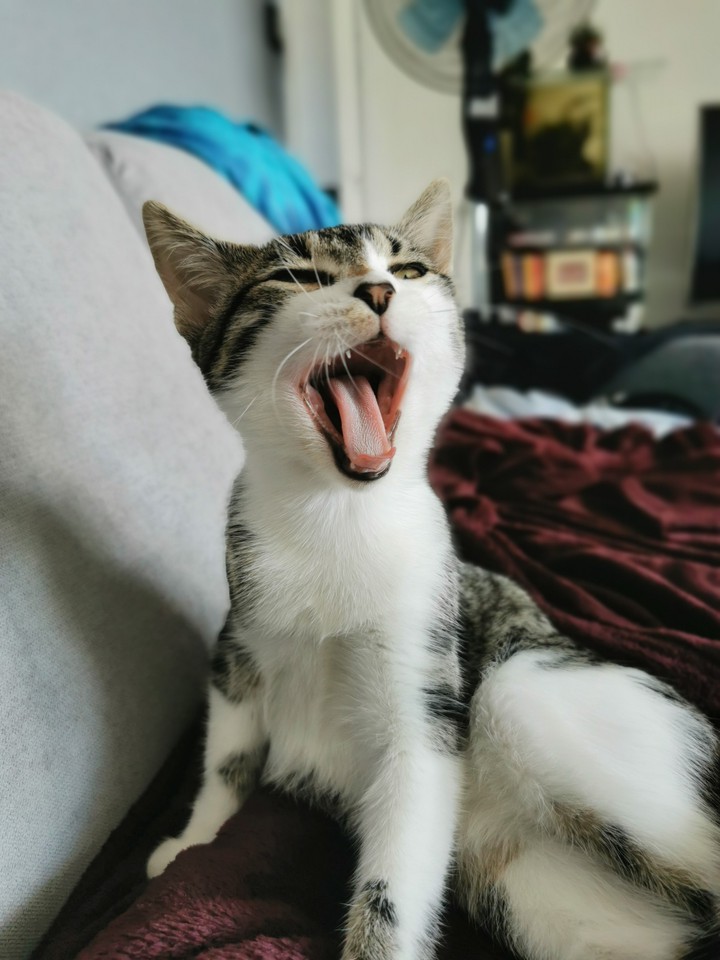 Nnooonnnn !!!