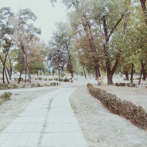 Парк