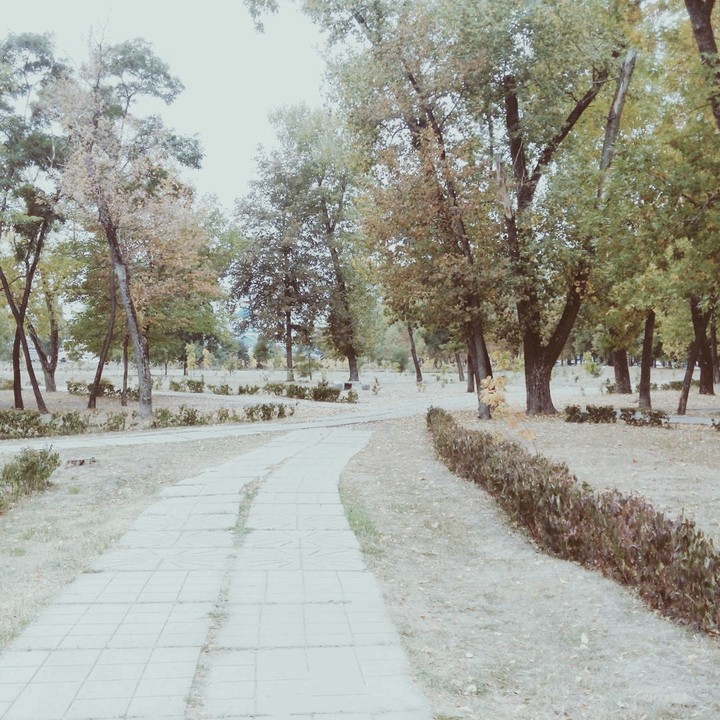 Парк