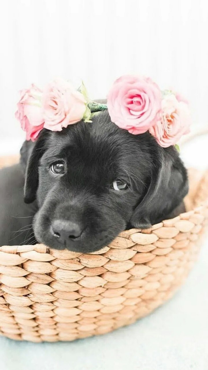 ❤❤❤