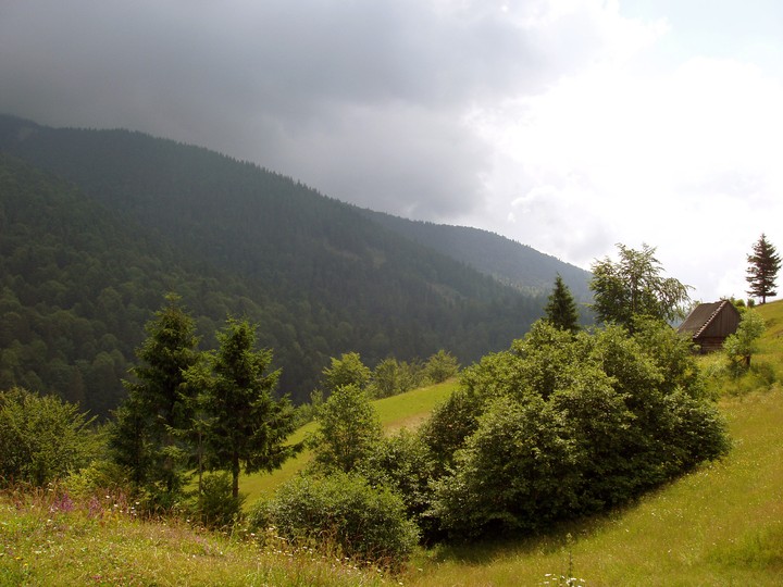 Закарпатье, горный перевал