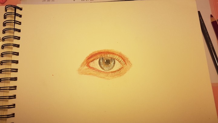 eye