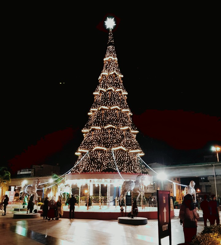 Christmas Nights