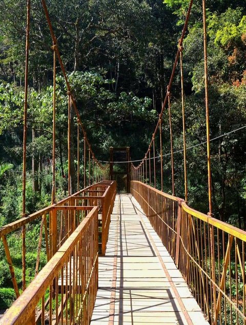 bridge
