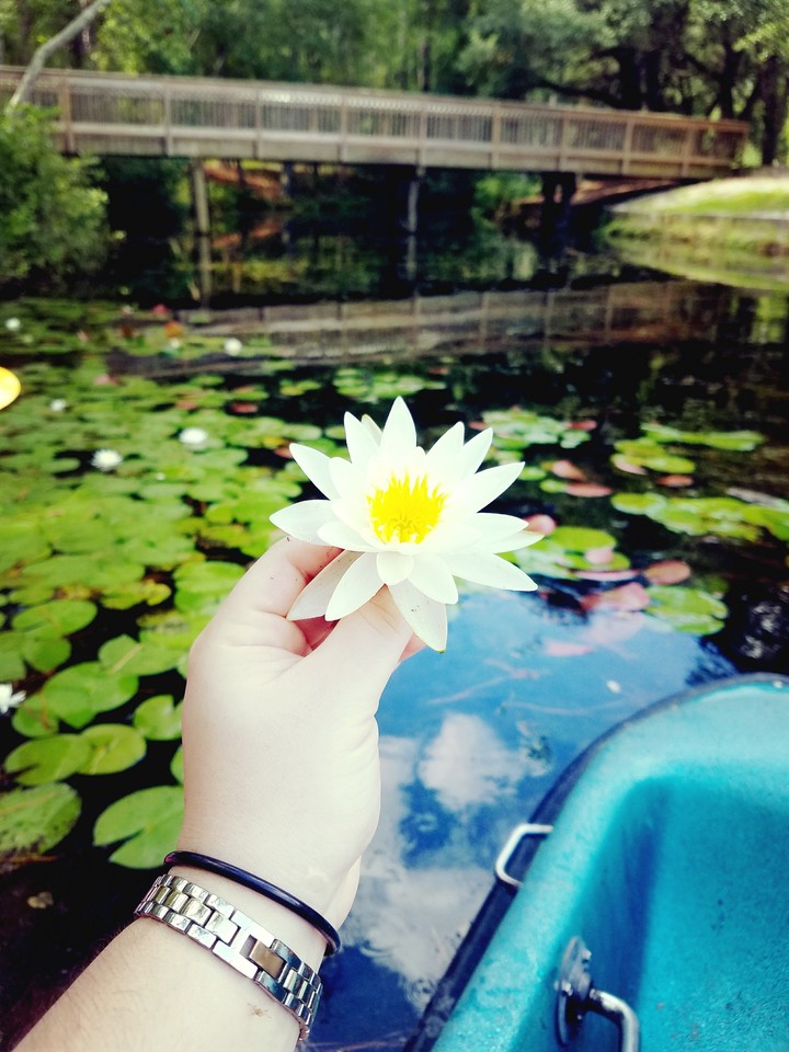 lake