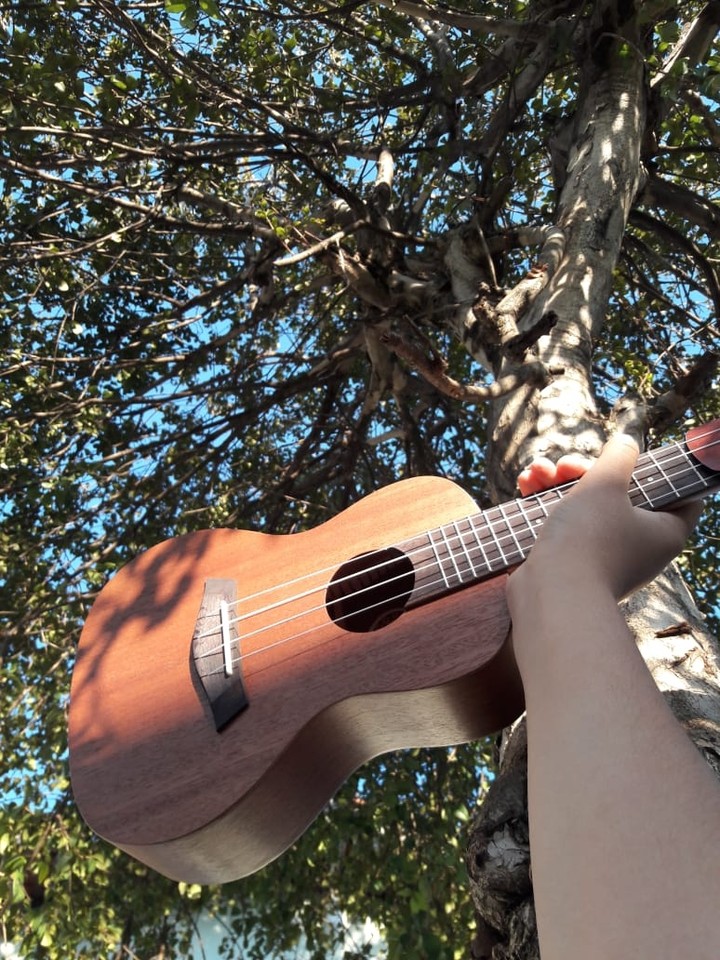 ukulele