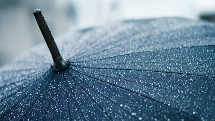 Umbrella☔ under rain