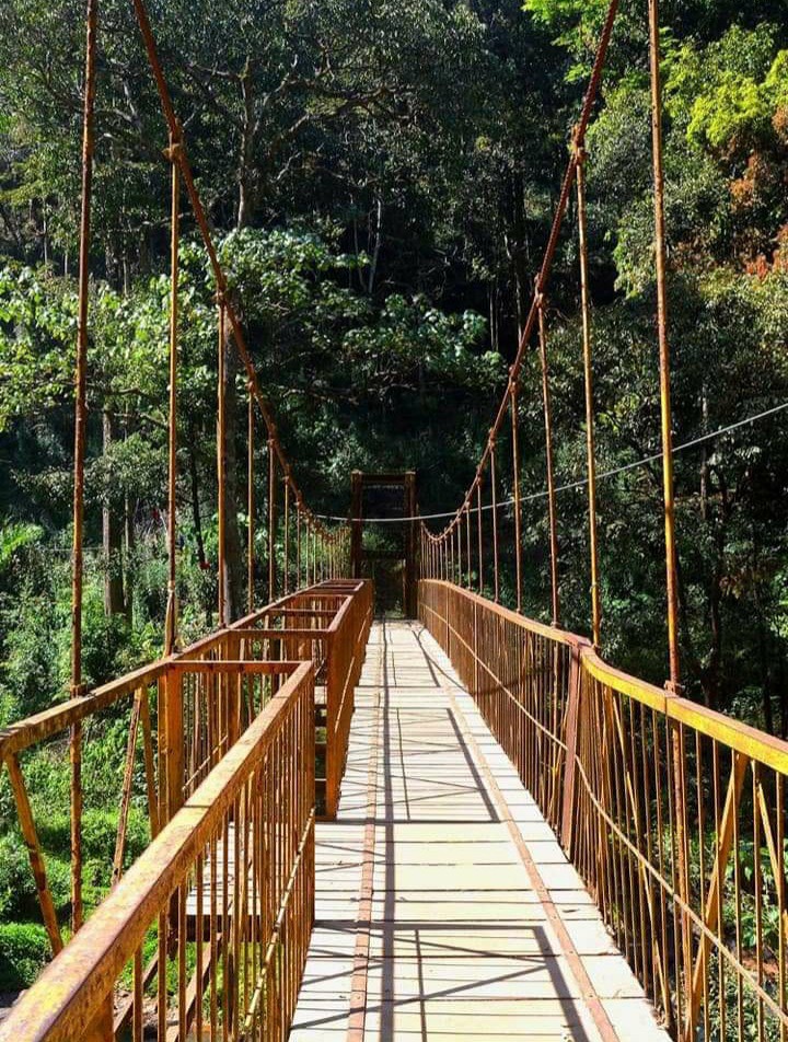 bridge