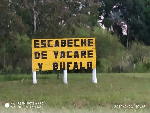 convodia