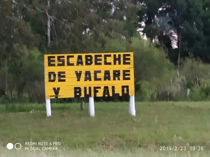 convodia