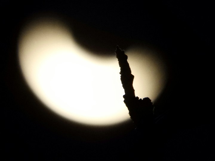 Moon
