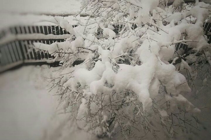 winter