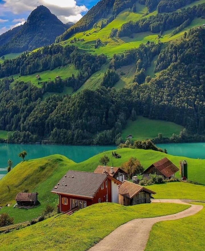 swiss