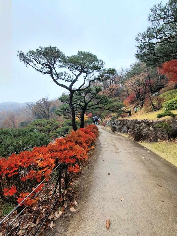 가울