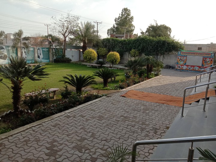 Garden