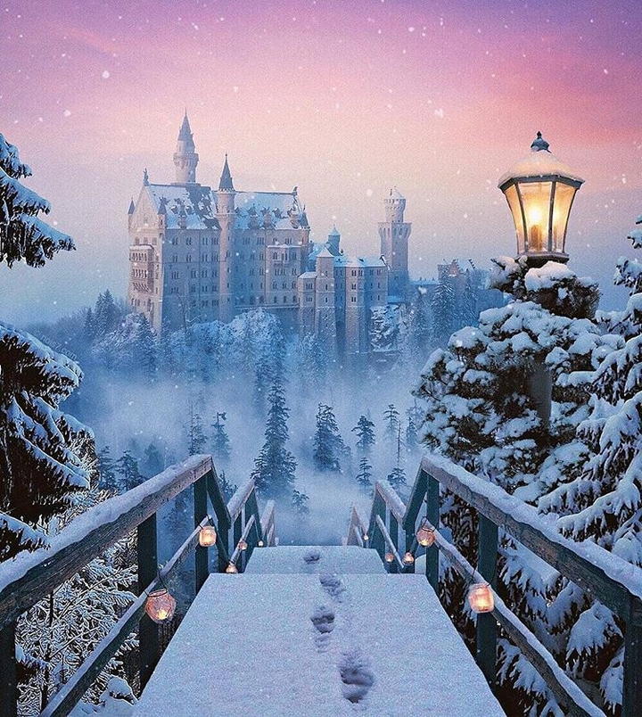 WINTER