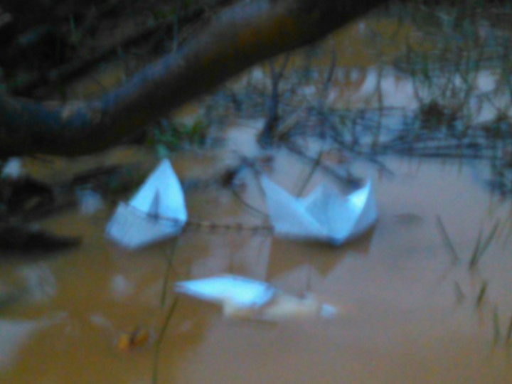 Paperboat