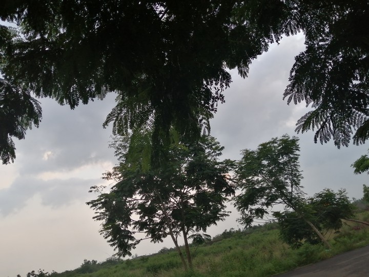 Some Cloudy days