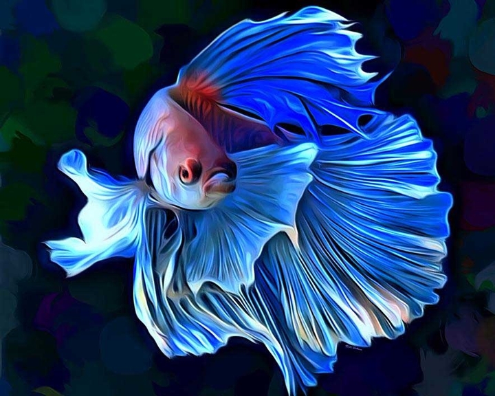 Fish