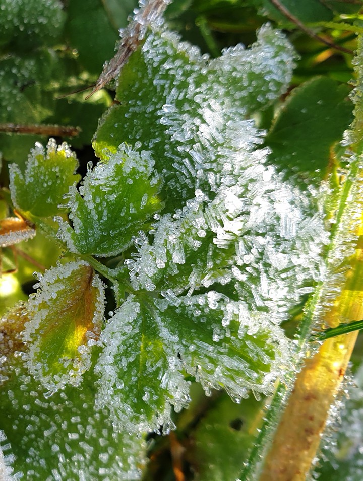 ...kristalai...