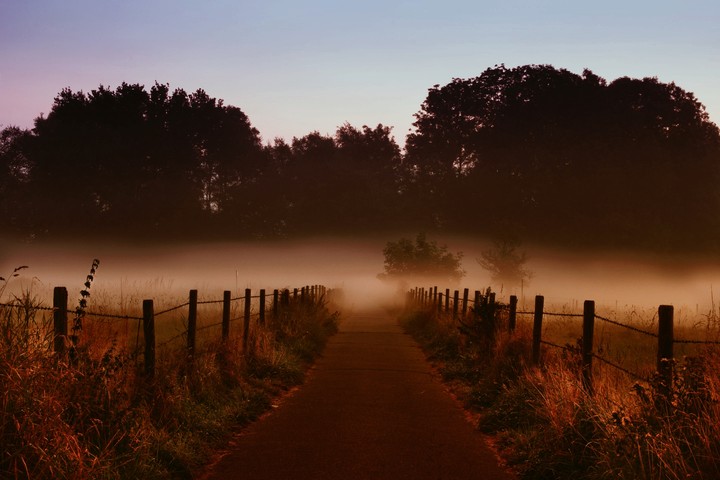 Mysterious beauty