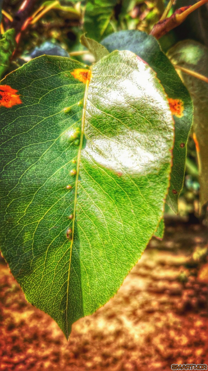 #nature