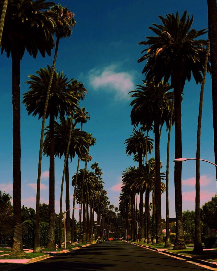 Los Angeles' Palm Street