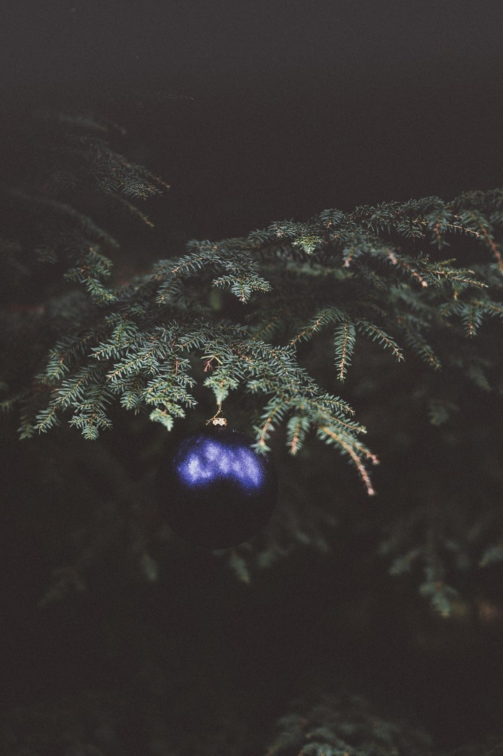 ❄️