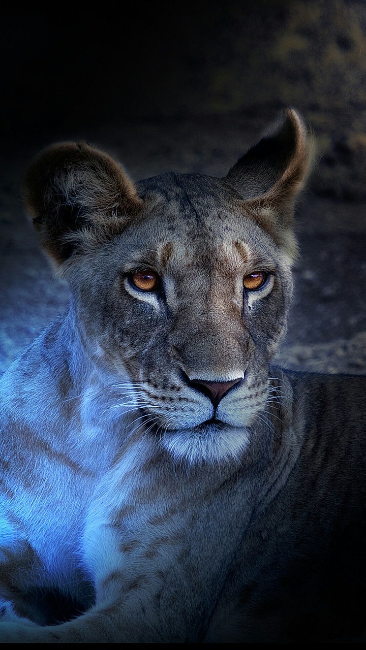 @irwall_paper