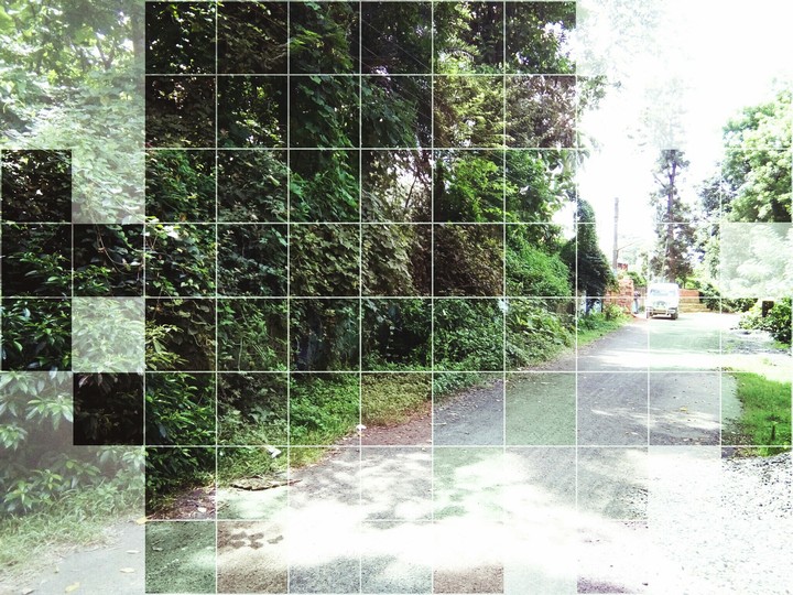 street