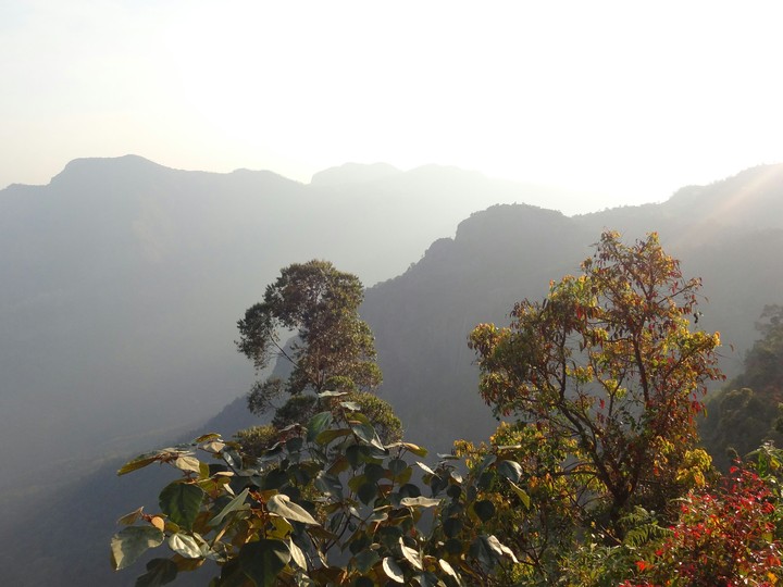 ooty