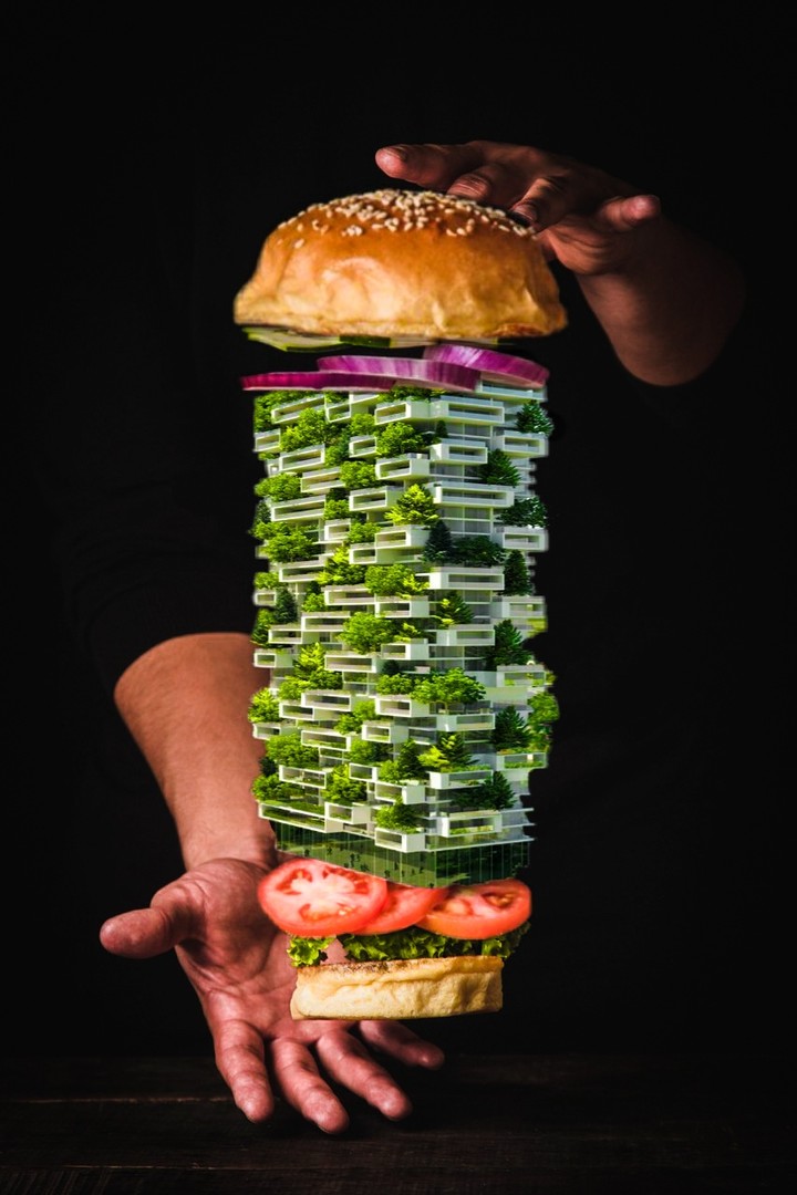 sandwich