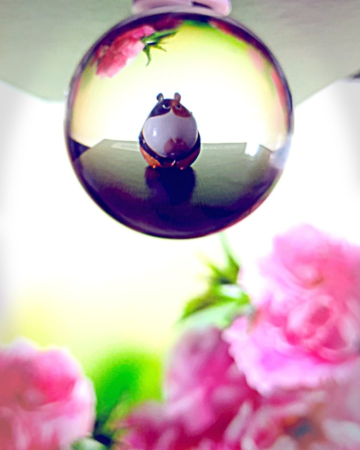 glass ball