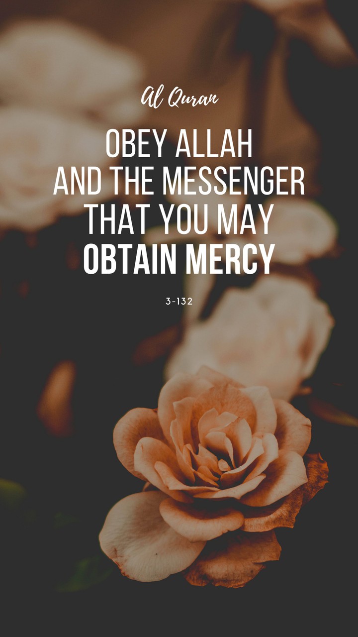 islam islamic Allah