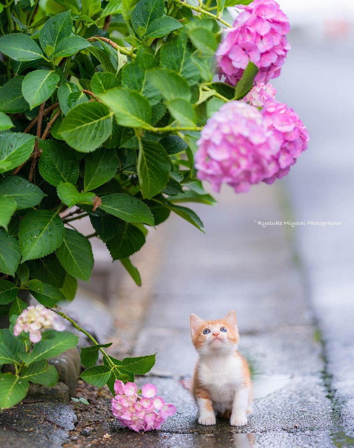 During the rainy season