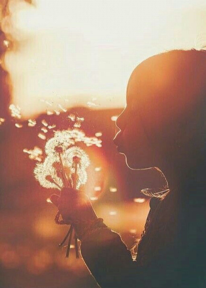 Blowing the dandelion