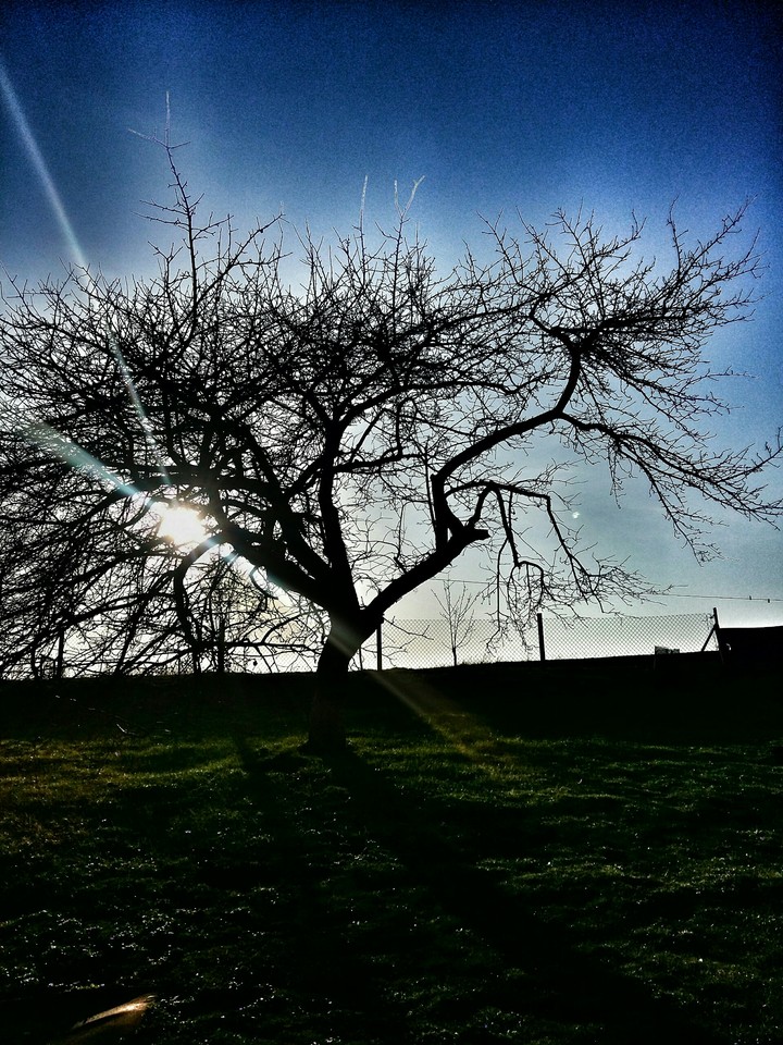 sunlight trip