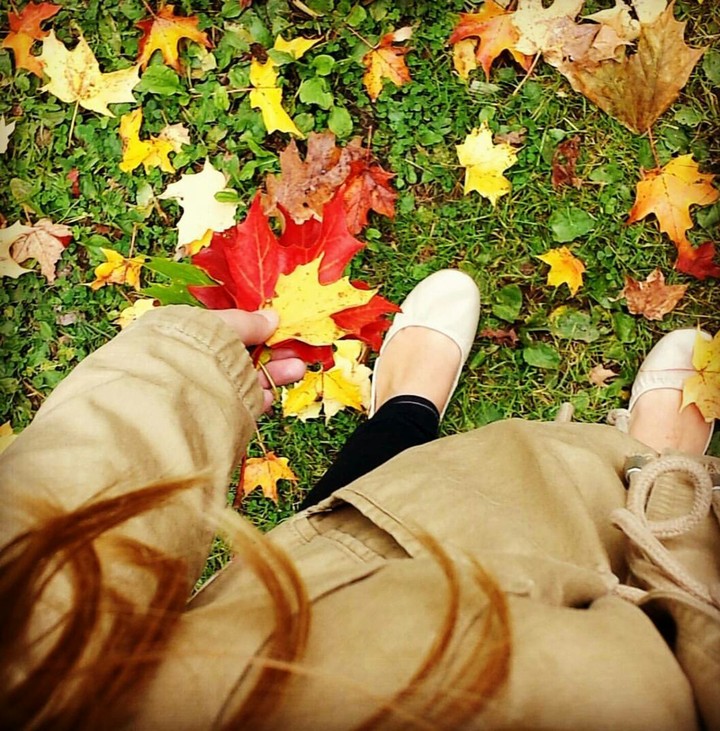 Autumn Footprints