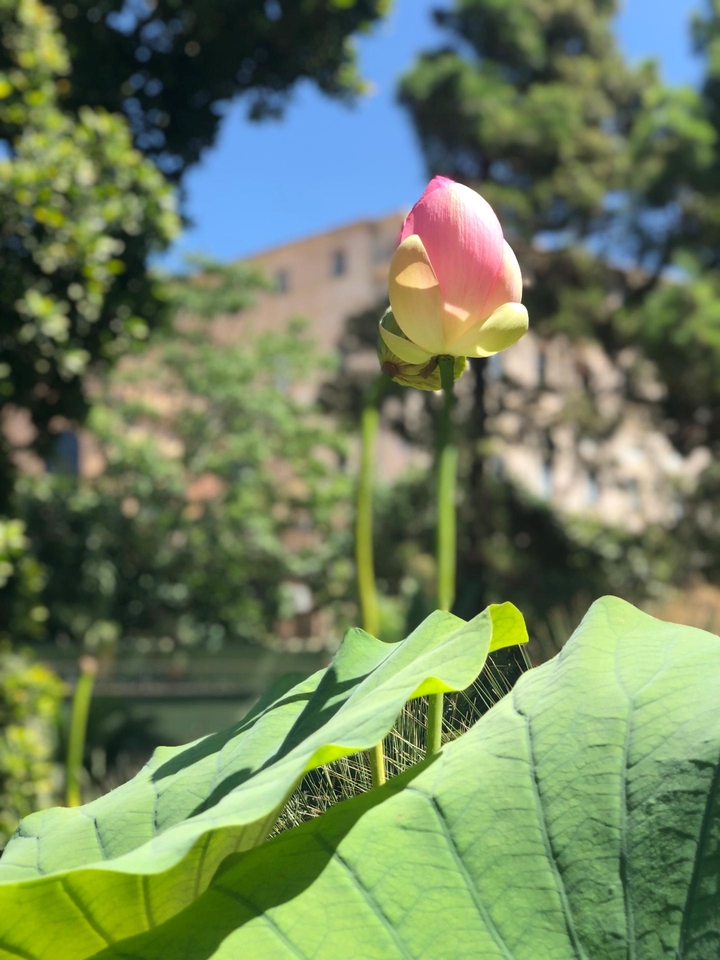 The Beauty of Nature