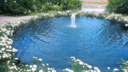 Flores