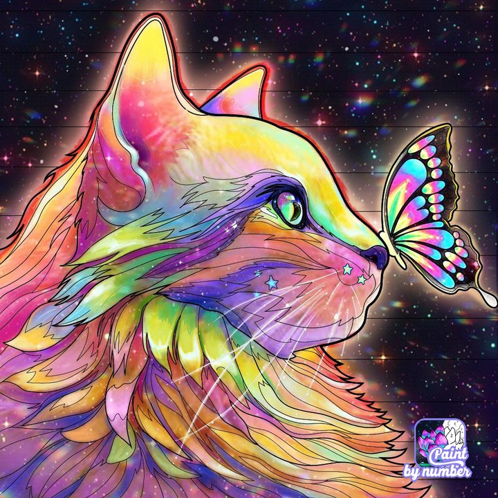 бабочка и кот