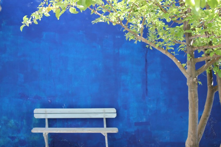 blue wall green tree