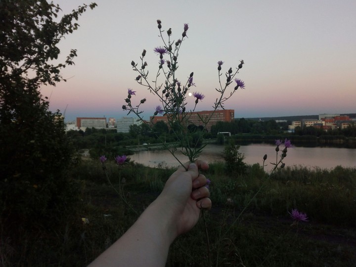 Gorgeous place