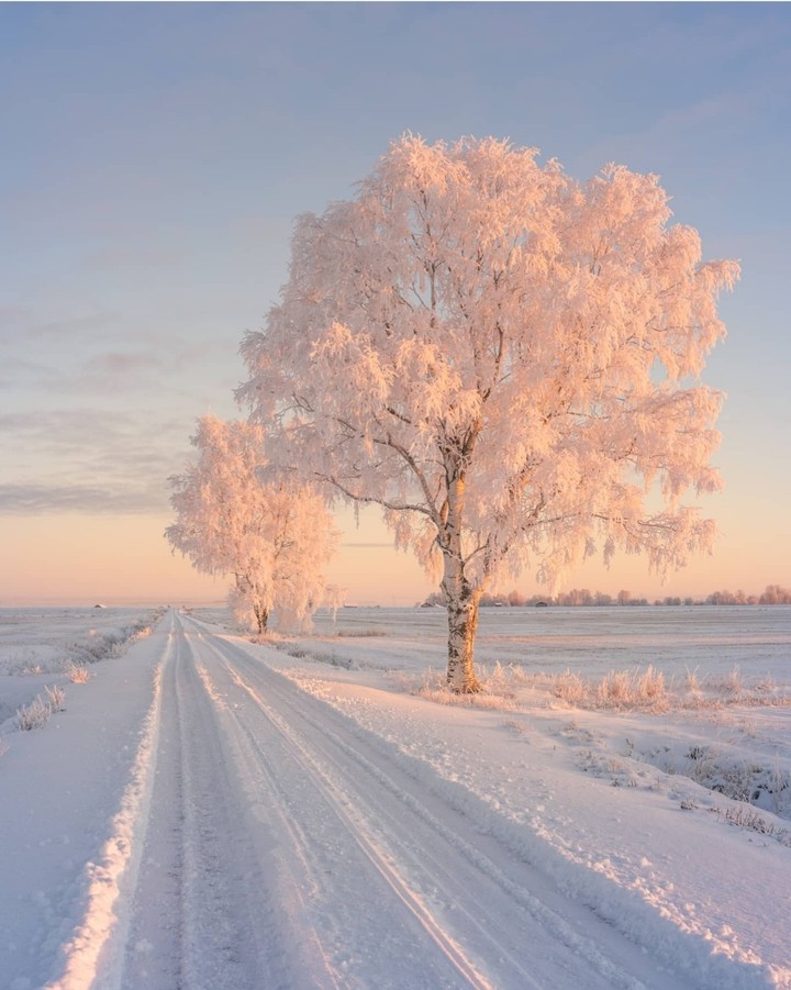 Winter day