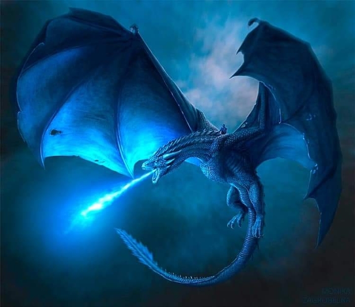dragon